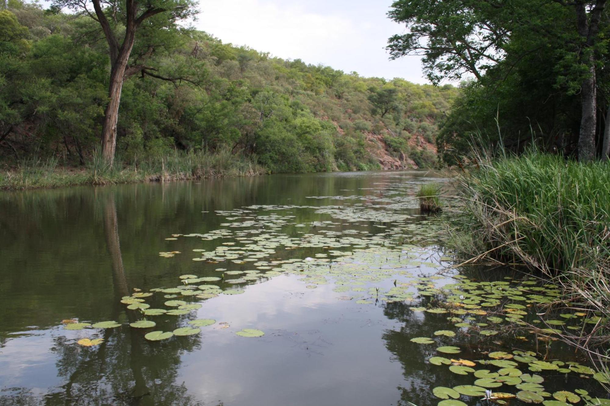 Mologa River Lodge Rust de Winter Εξωτερικό φωτογραφία