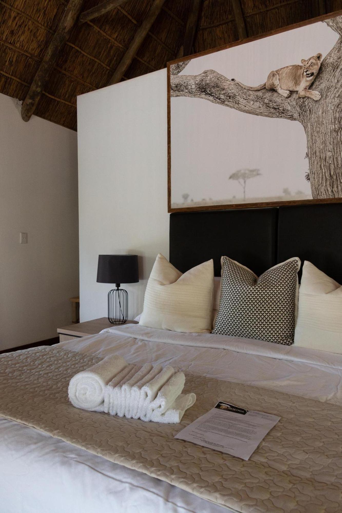 Mologa River Lodge Rust de Winter Εξωτερικό φωτογραφία
