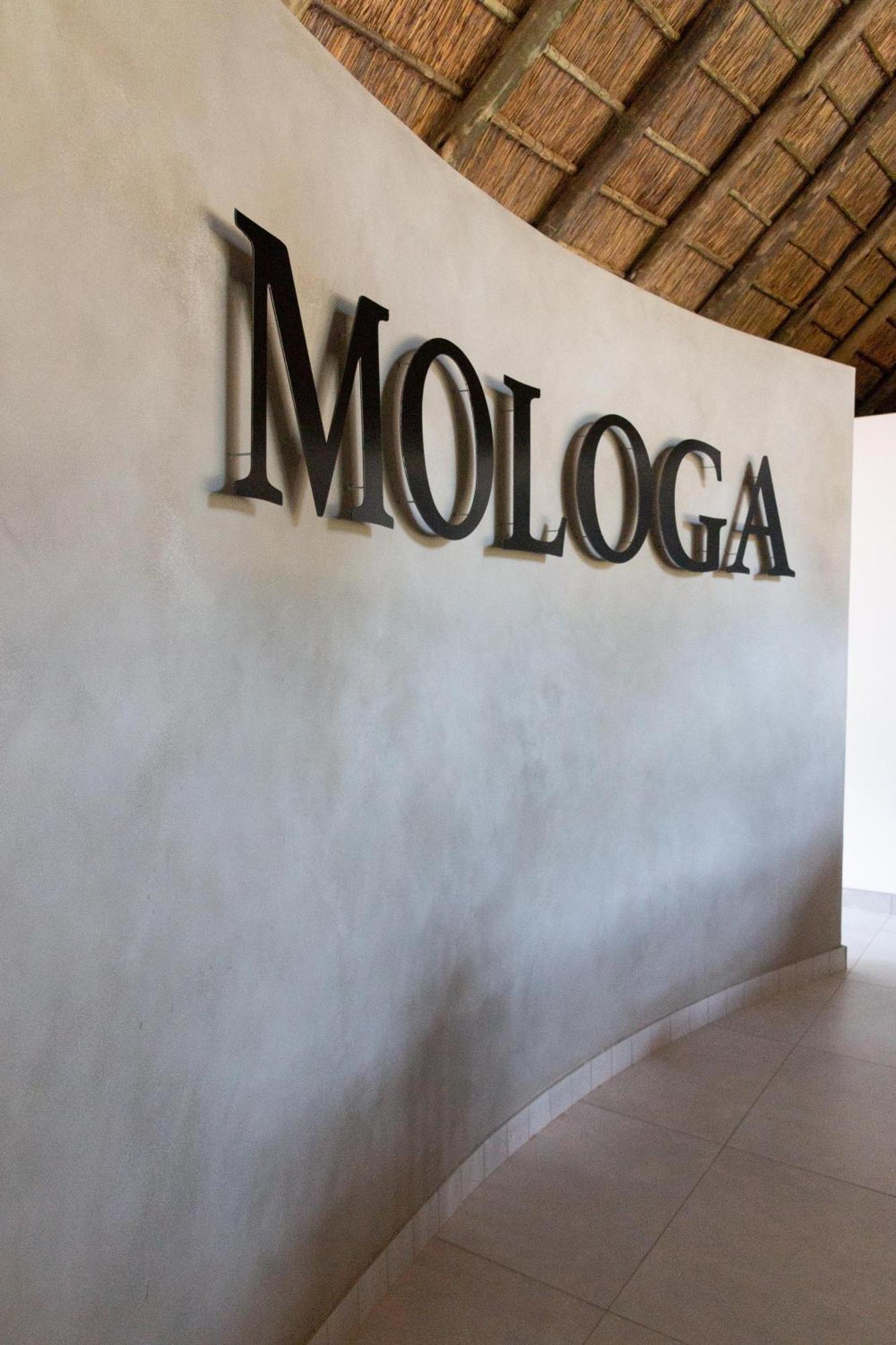 Mologa River Lodge Rust de Winter Εξωτερικό φωτογραφία